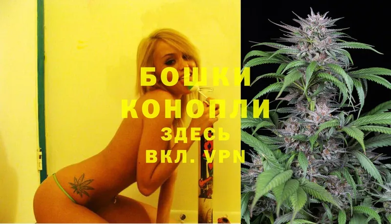 Бошки Шишки White Widow  наркота  omg сайт  Болгар 